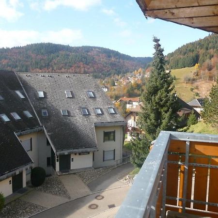 Haus Herzogenhorn - Hornberg Todtmoos Exteriér fotografie